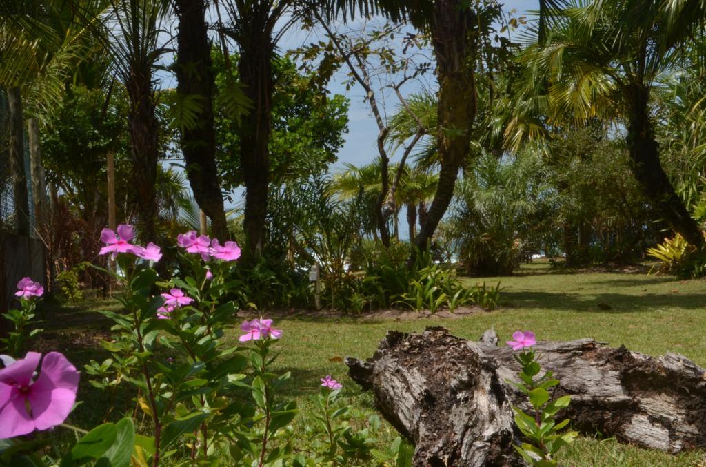 Pousada Tortuga Barra Grande  Exteriér fotografie